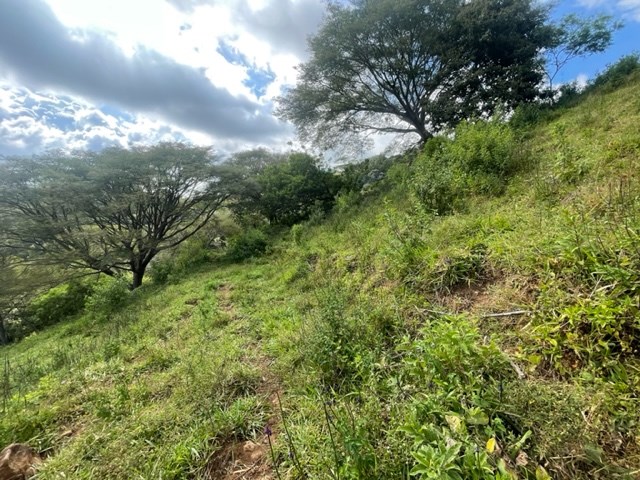 Building Lots for sale in Atenas Costa Rica