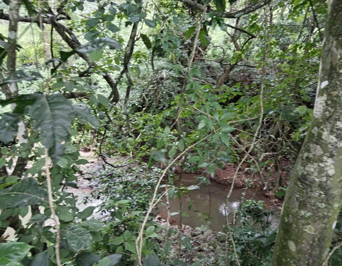 Building Lots for sale in Atenas Costa Rica