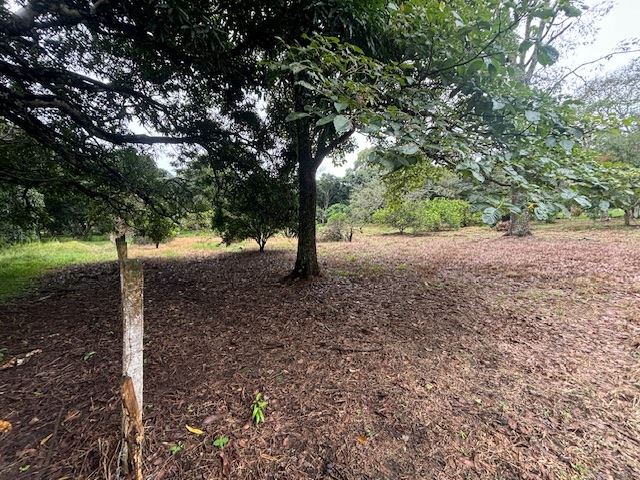 Building Lots for sale in Atenas Costa Rica