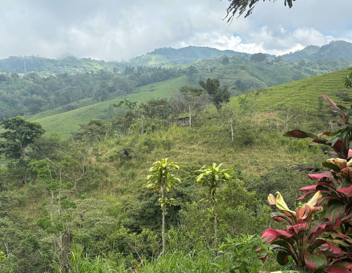 Building Lots for sale in Atenas Costa Rica