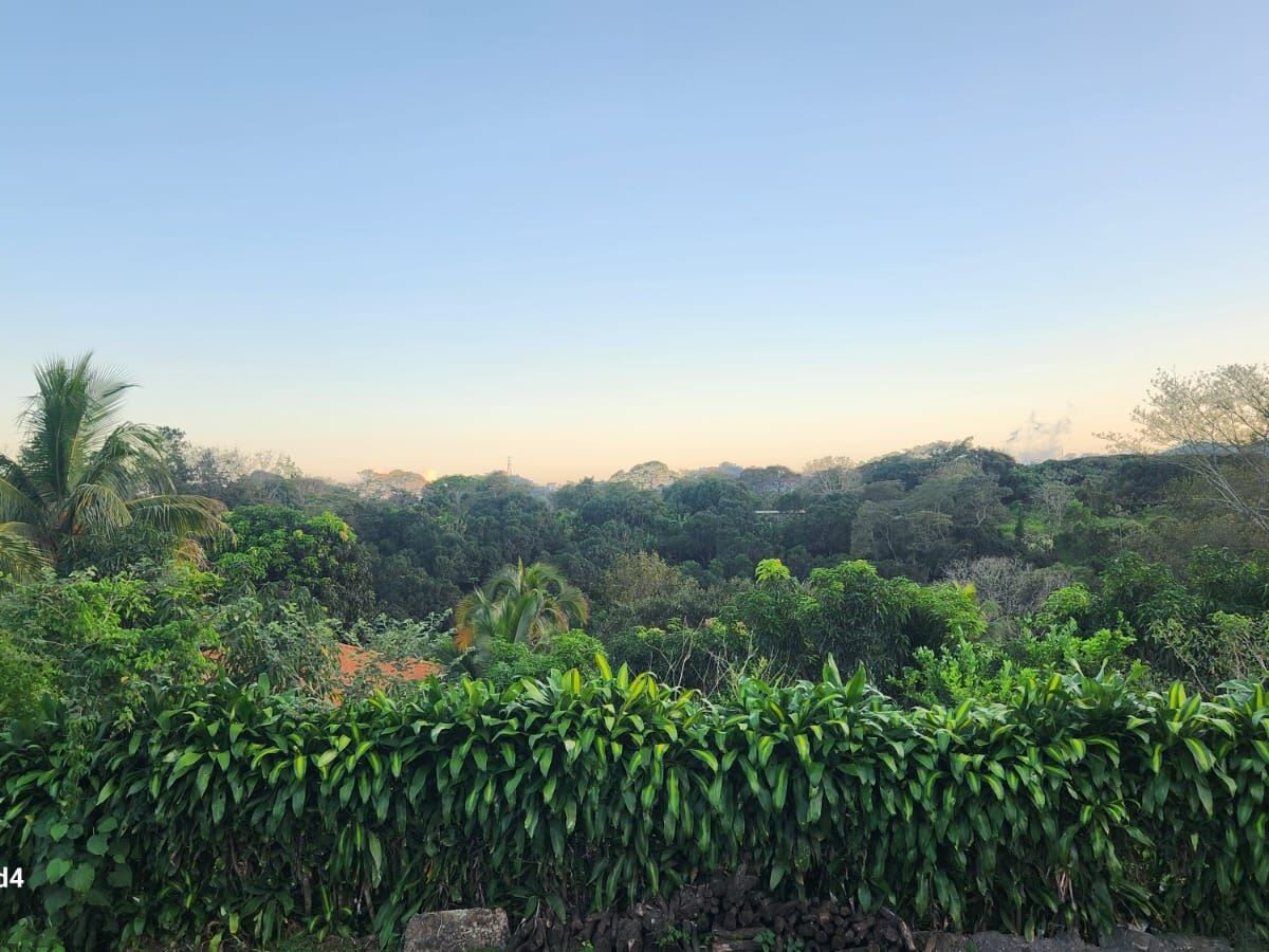 Homes for sale in Atenas Costa Rica