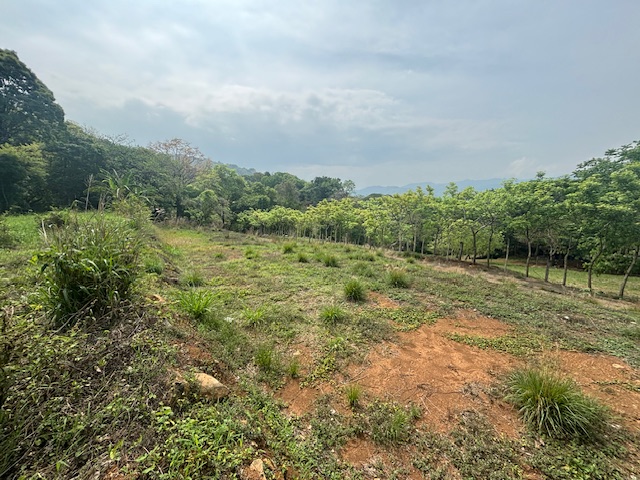 Building Lots for sale in Atenas Costa Rica