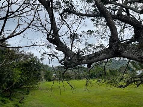 Building Lots for sale in Atenas Costa Rica