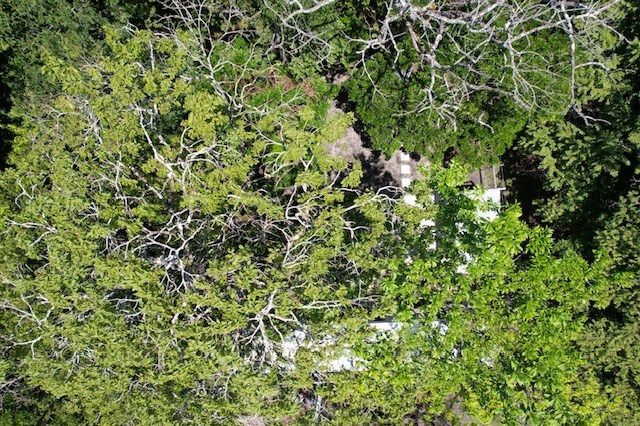 for sale in Atenas Costa Rica