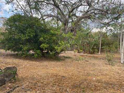 Building Lots for sale in Atenas Costa Rica