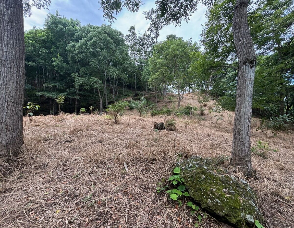 Building Lots for sale in Atenas Costa Rica