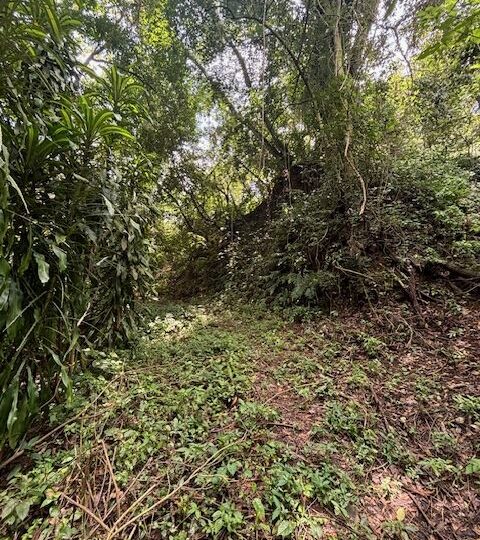 Homes for sale in Atenas Costa Rica