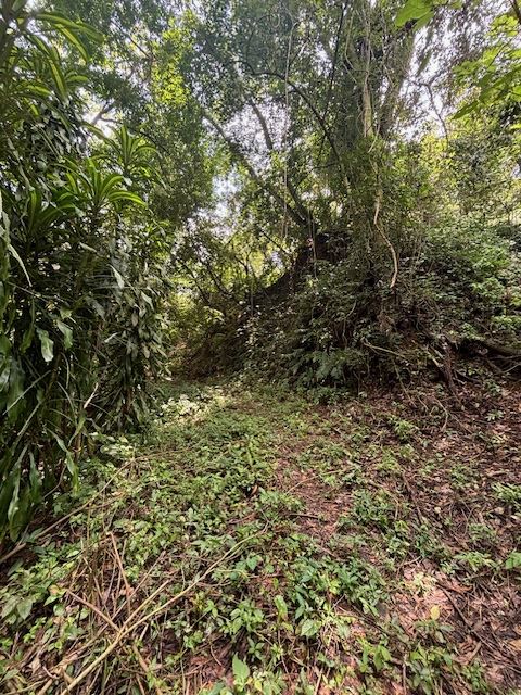 Homes for sale in Atenas Costa Rica