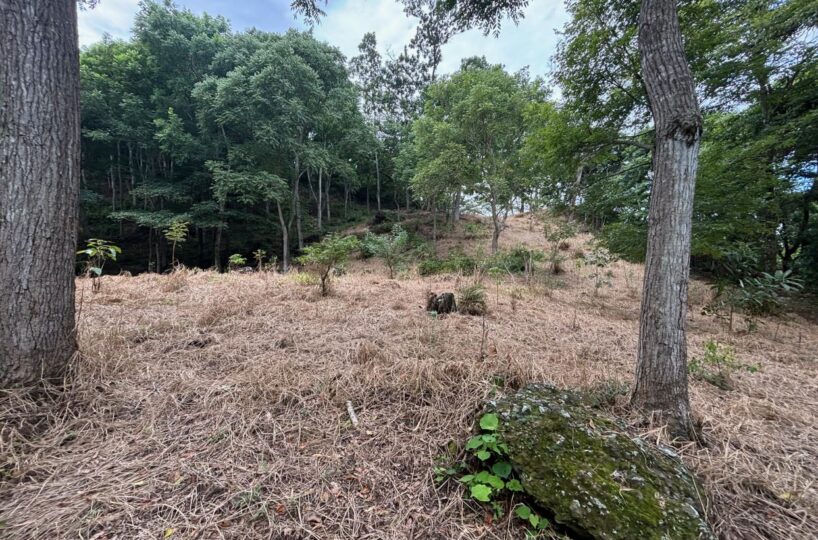 Building Lots for sale in Atenas Costa Rica