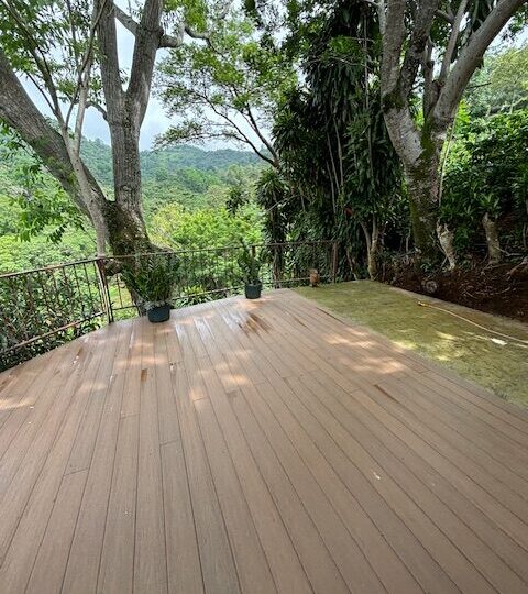 Homes for sale in Atenas Costa Rica