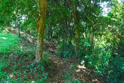 Building Lots for sale in Atenas Costa Rica