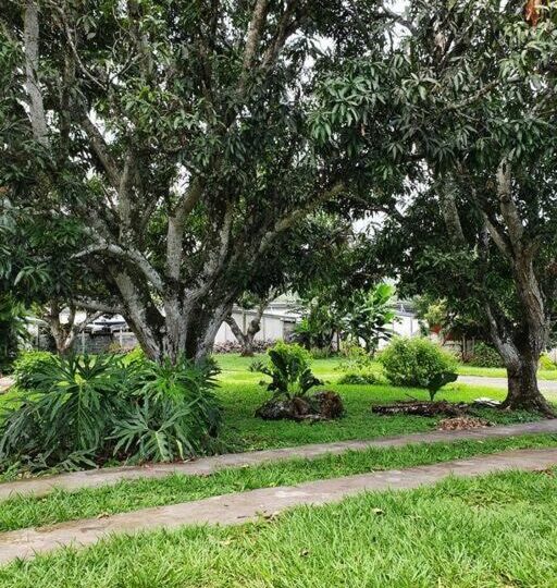 Homes for sale in Atenas Costa Rica