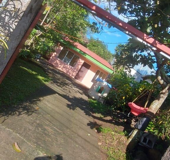 Homes for sale in Atenas Costa Rica