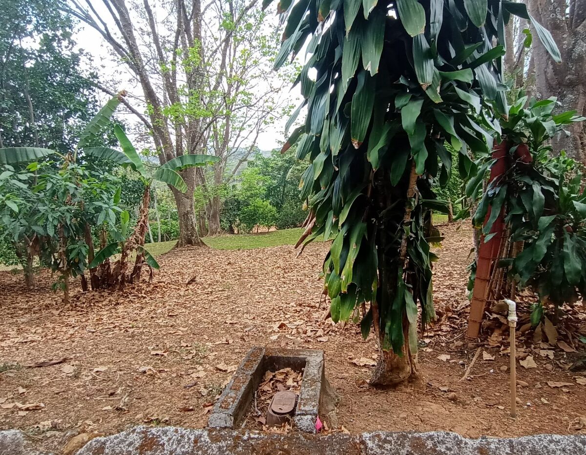 Building Lots for sale in Atenas Costa Rica