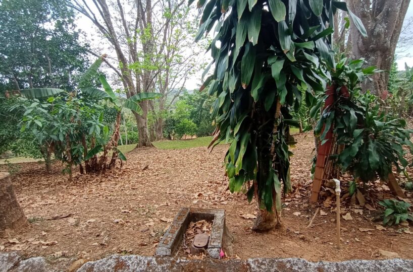 Building Lots for sale in Atenas Costa Rica