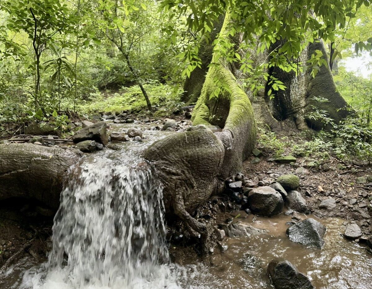 Building Lots for sale in Atenas Costa Rica