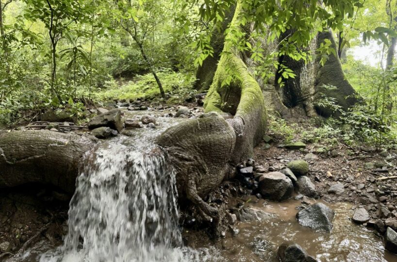 Building Lots for sale in Atenas Costa Rica