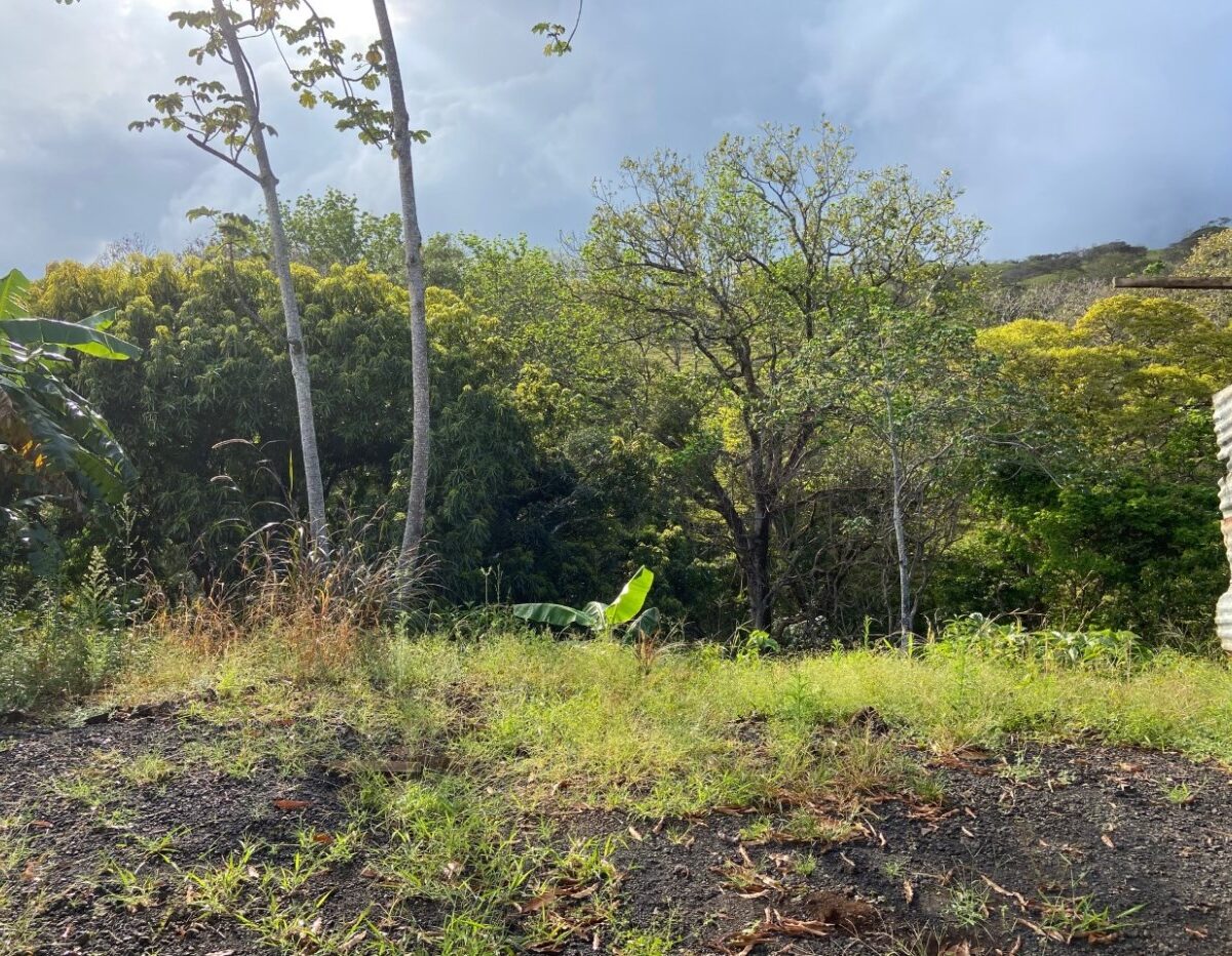 Building Lots for sale in Atenas Costa Rica