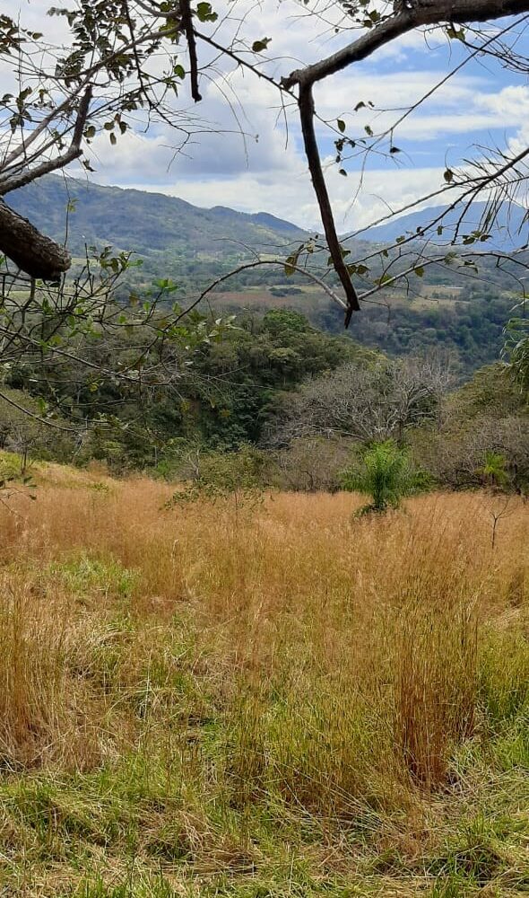 Building Lots for sale in Atenas Costa Rica