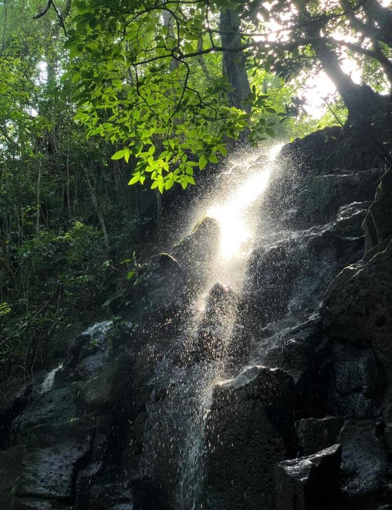 Building Lots for sale in Atenas Costa Rica