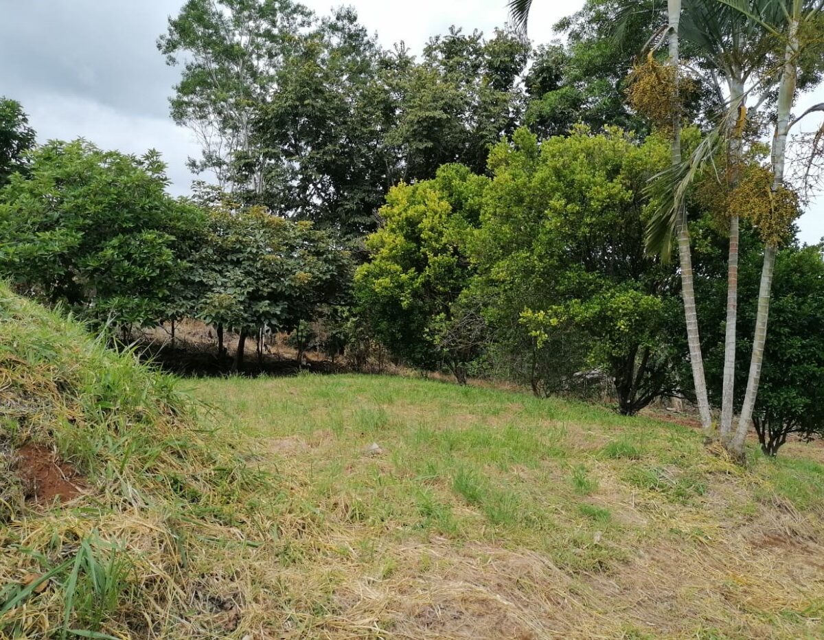Building Lots for sale in Atenas Costa Rica