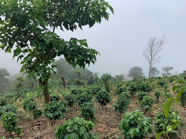 Building Lots for sale in Atenas Costa Rica