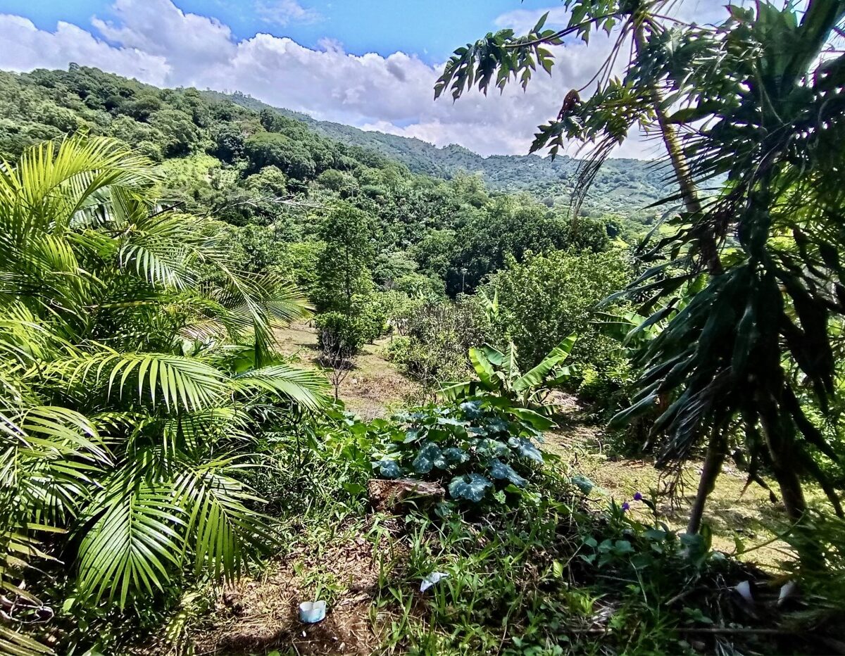Building Lots for sale in Atenas Costa Rica