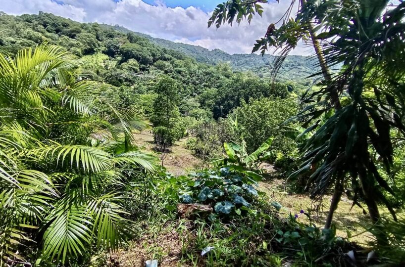Building Lots for sale in Atenas Costa Rica