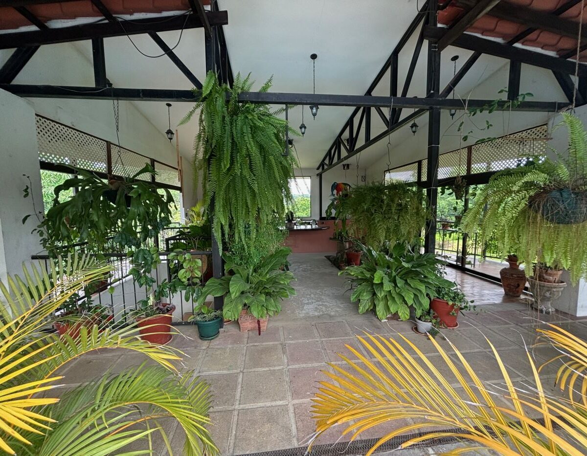 Homes for sale in Atenas Costa Rica