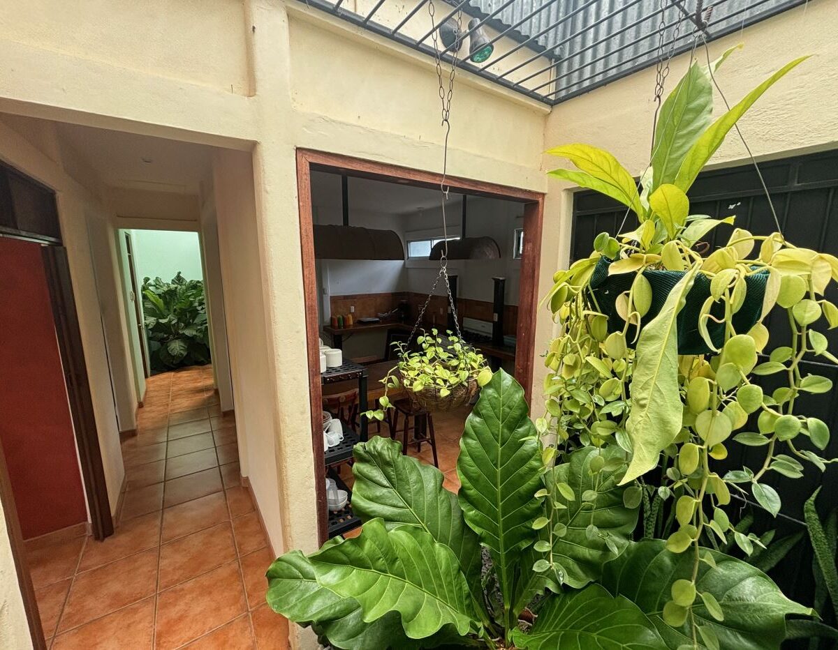 Homes for sale in Atenas Costa Rica