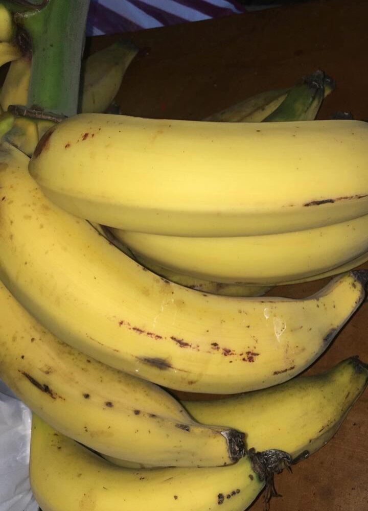 Homes for sale in Atenas Costa Rica