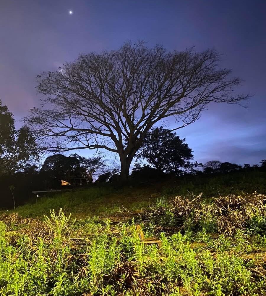 Building Lots for sale in Atenas Costa Rica