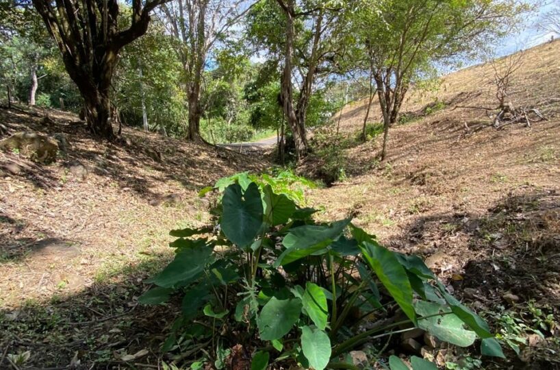 Building Lots for sale in Atenas Costa Rica