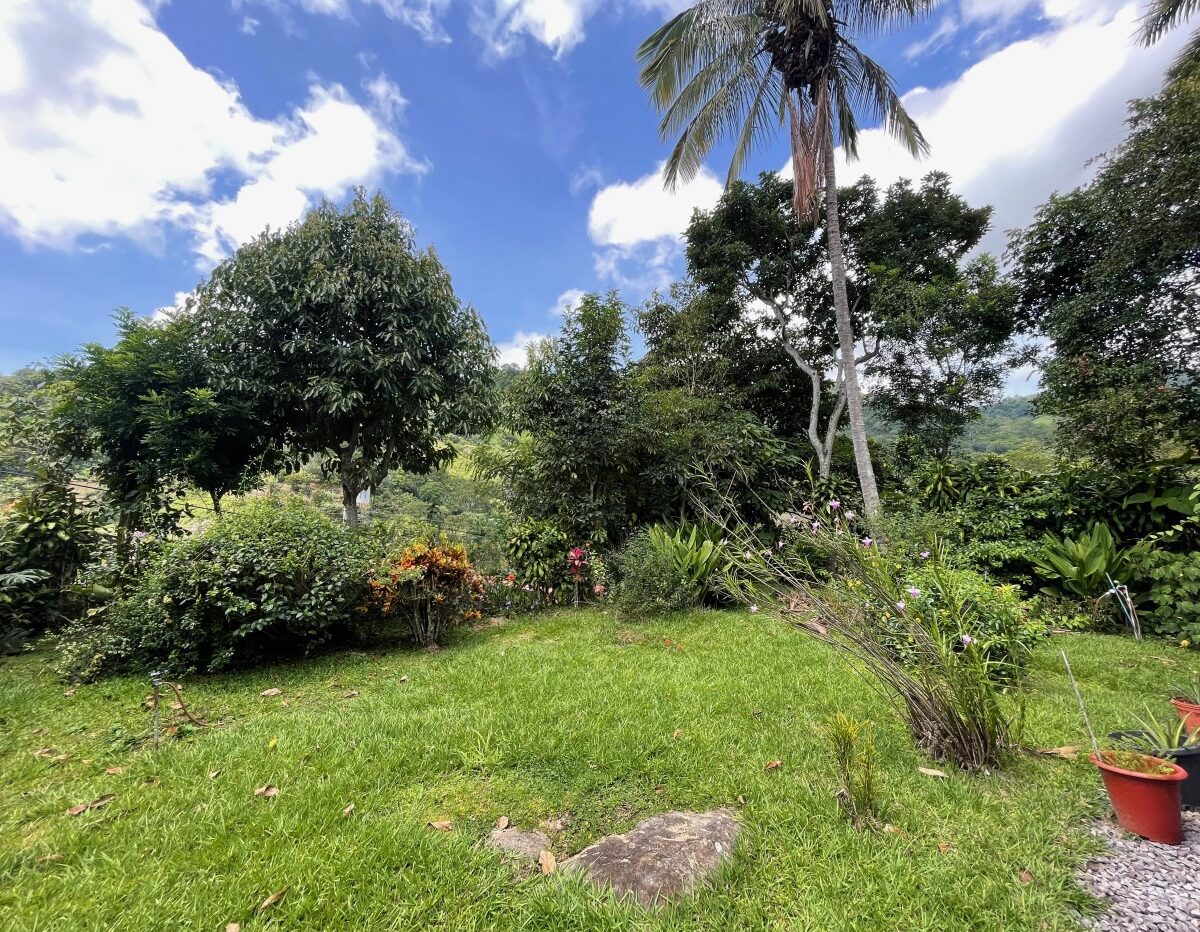 Homes for sale in Atenas Costa Rica