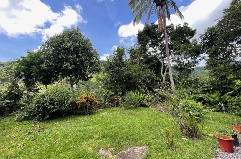 Homes for sale in Atenas Costa Rica