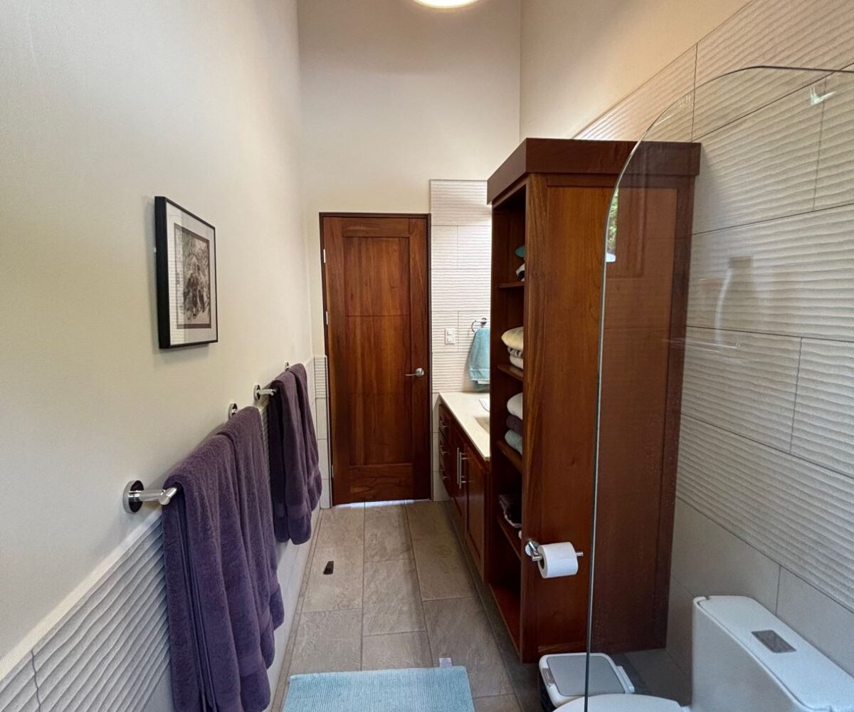 Homes for sale in Atenas Costa Rica