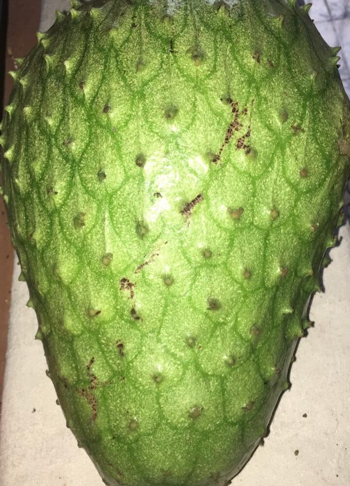 Homes for sale in Atenas Costa Rica