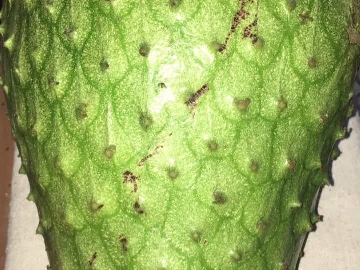 Homes for sale in Atenas Costa Rica