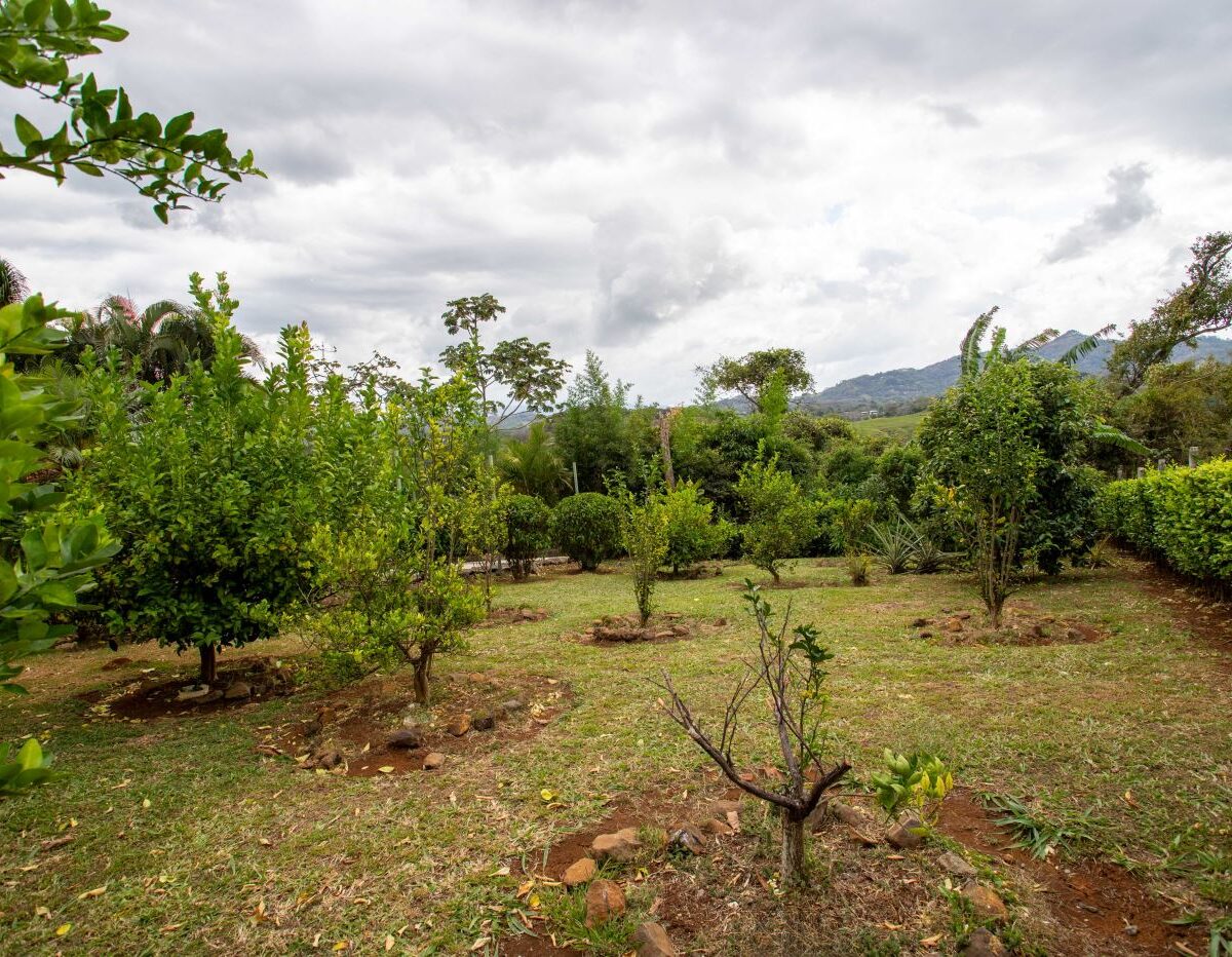 Homes for sale in Atenas Costa Rica