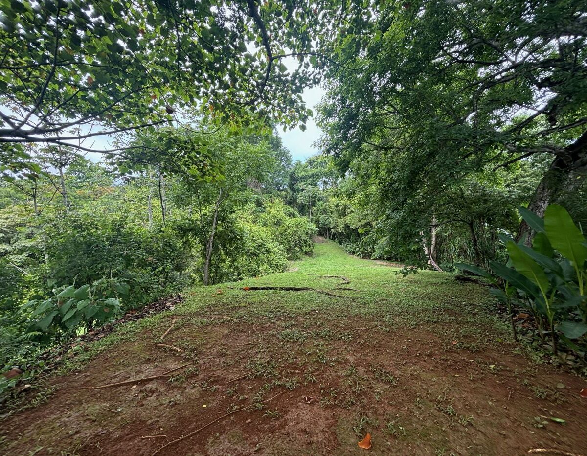 Homes for sale in Atenas Costa Rica