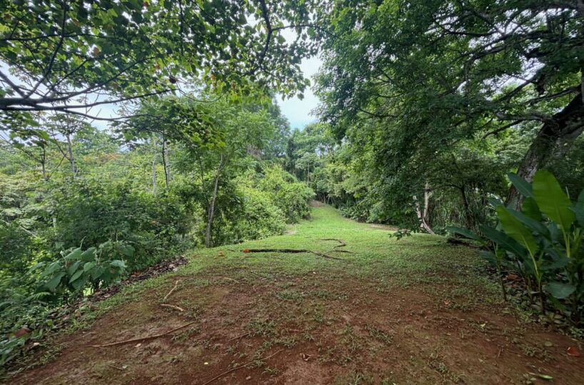 Homes for sale in Atenas Costa Rica