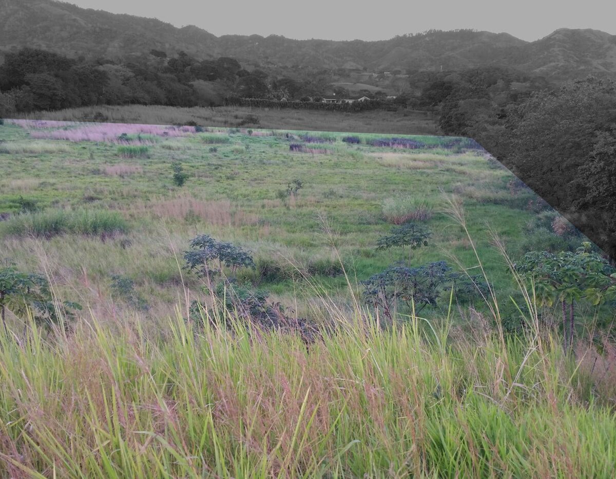 Building Lots for sale in Atenas Costa Rica