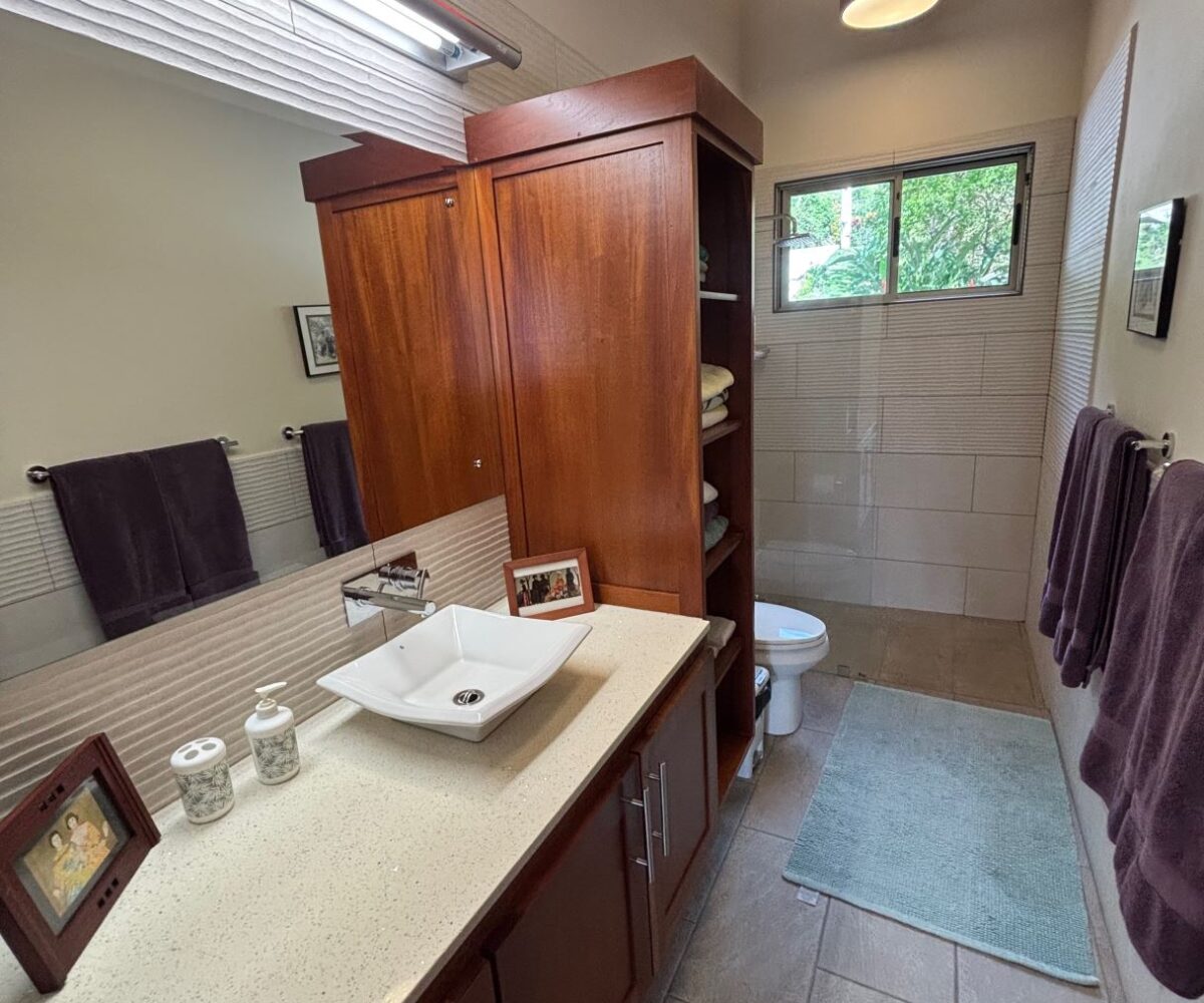 Homes for sale in Atenas Costa Rica