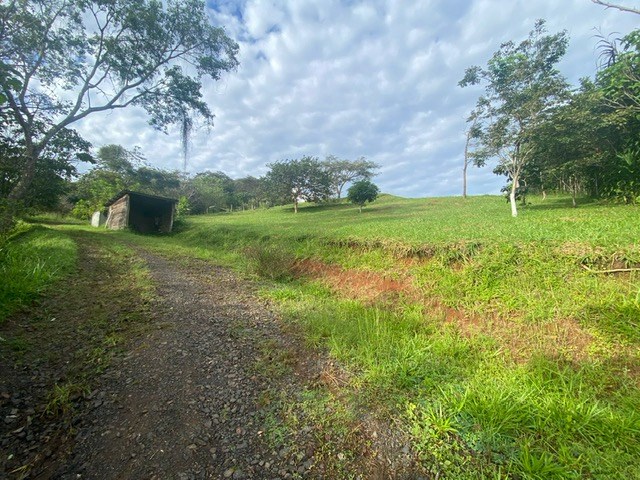 Building Lots for sale in Atenas Costa Rica