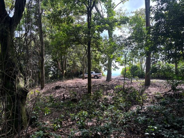Building Lots for sale in Atenas Costa Rica