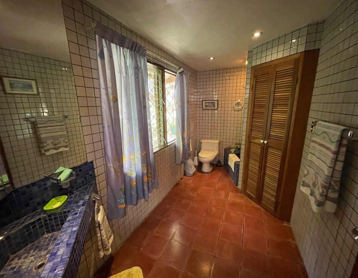 Homes for sale in Atenas Costa Rica