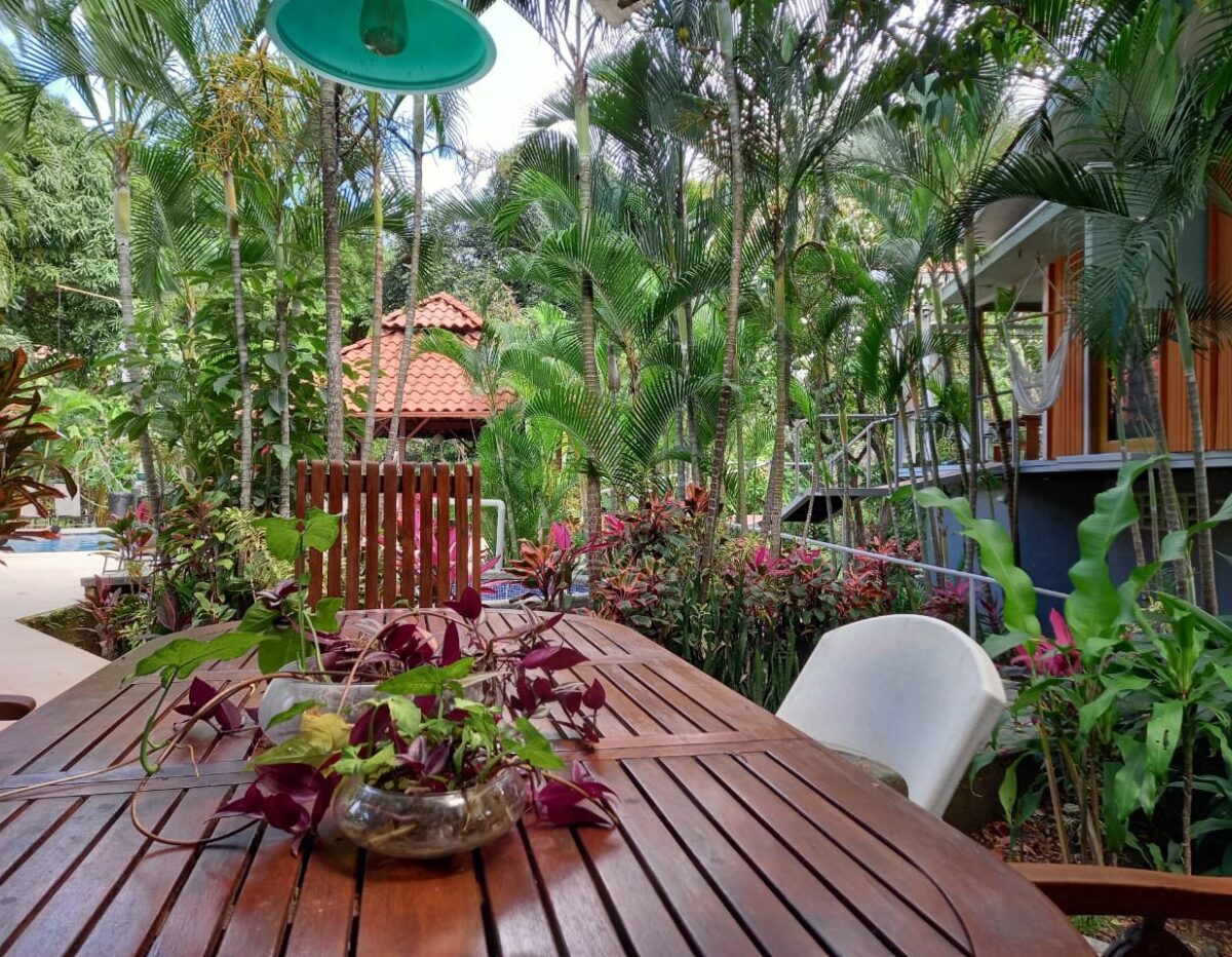 Commercial for sale in Atenas Costa Rica