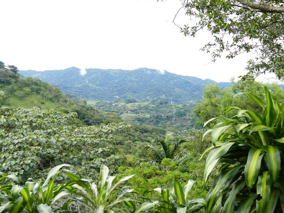 Homes for sale in Atenas Costa Rica