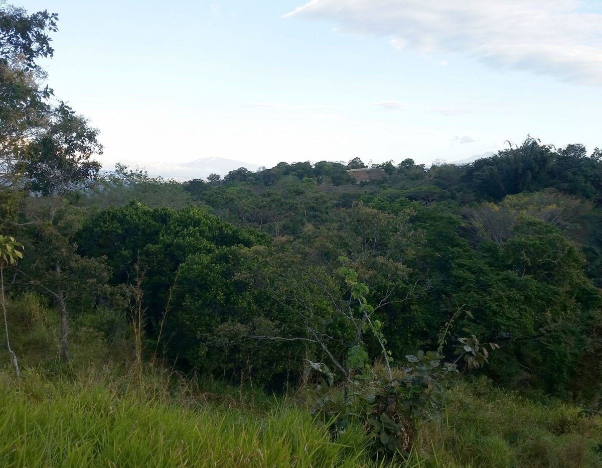 Building Lots for sale in Atenas Costa Rica