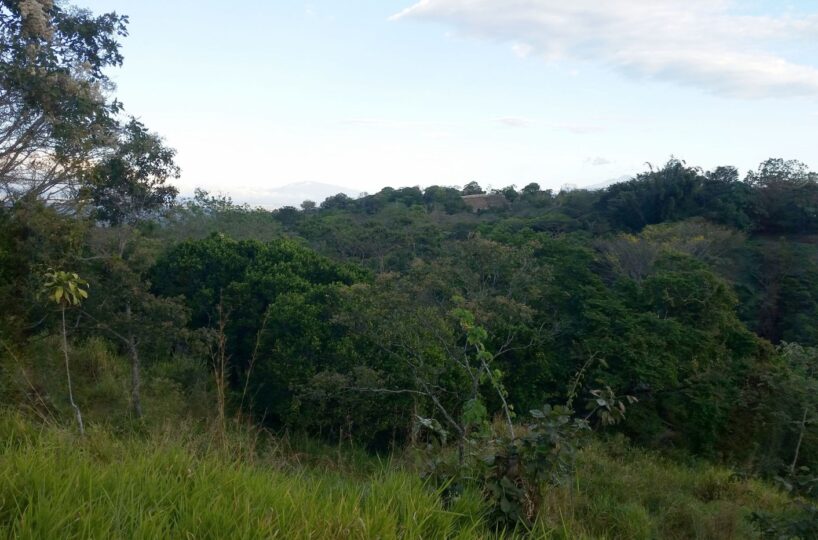 Building Lots for sale in Atenas Costa Rica